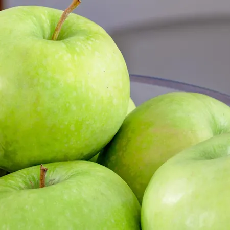 斐欧里赛塔修道院酒店 酒店 博洛尼亚