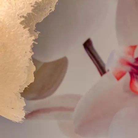 Il Convento Dei Fiori Di Seta Hotel Bologna