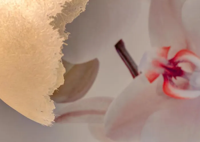 일 콘벤토 데이 피오리 디 세타 호텔 볼로냐